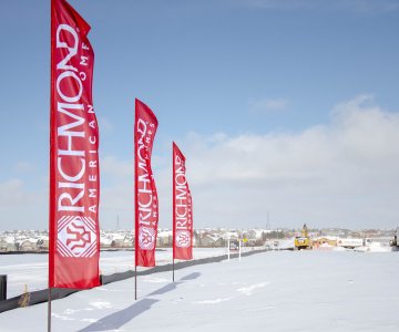 Feather Beach Flags