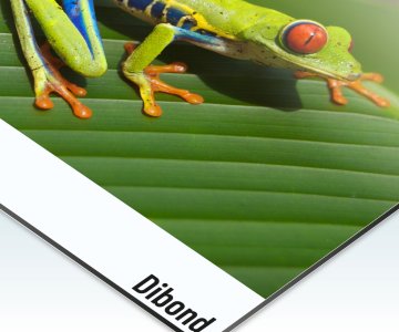 Diebond Signs (Aluminium Composite)